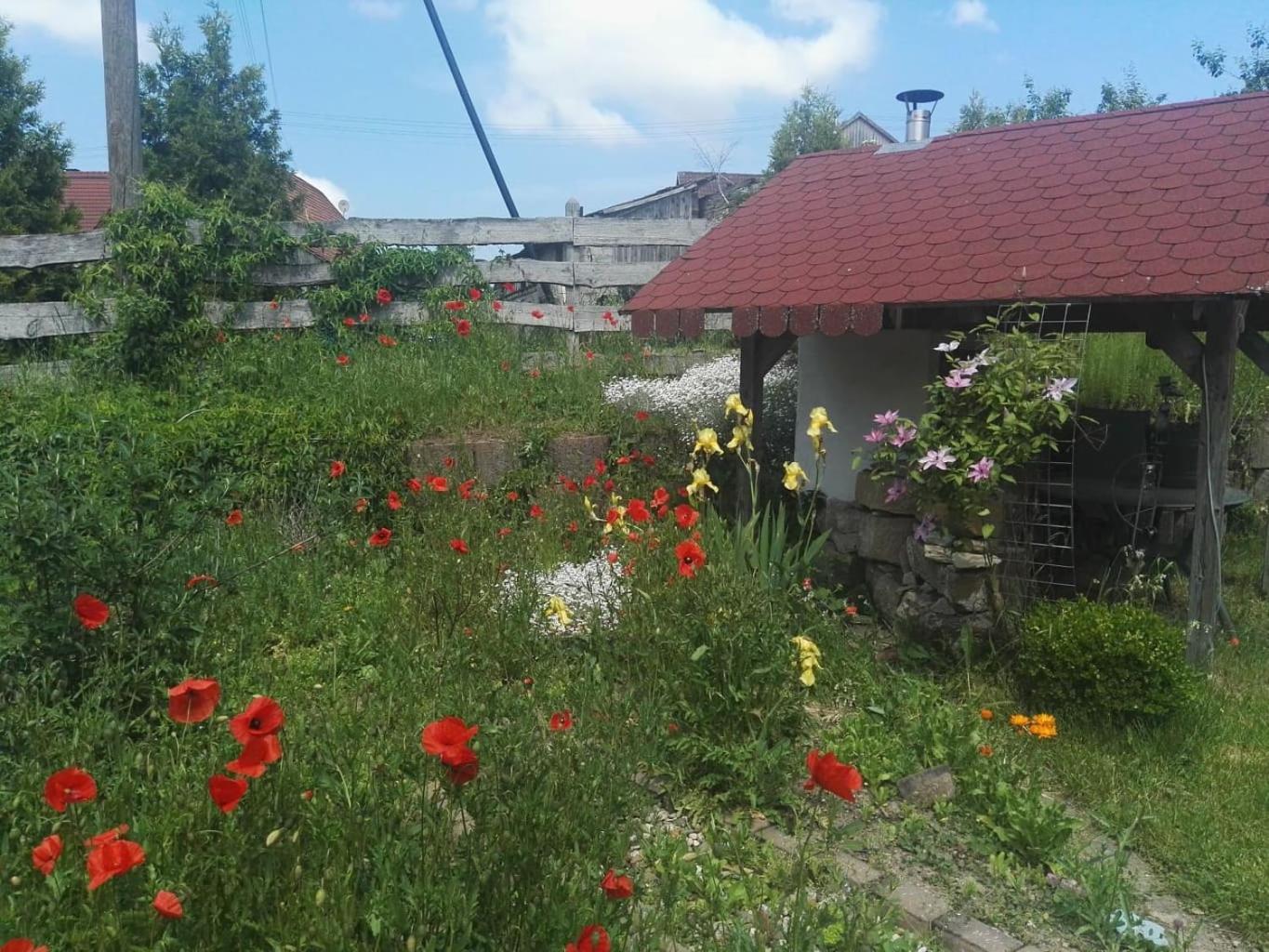 Gaestehaus Zum Gesundheitszentrum Matz Sulzdorf an der Lederhecke Exteriör bild
