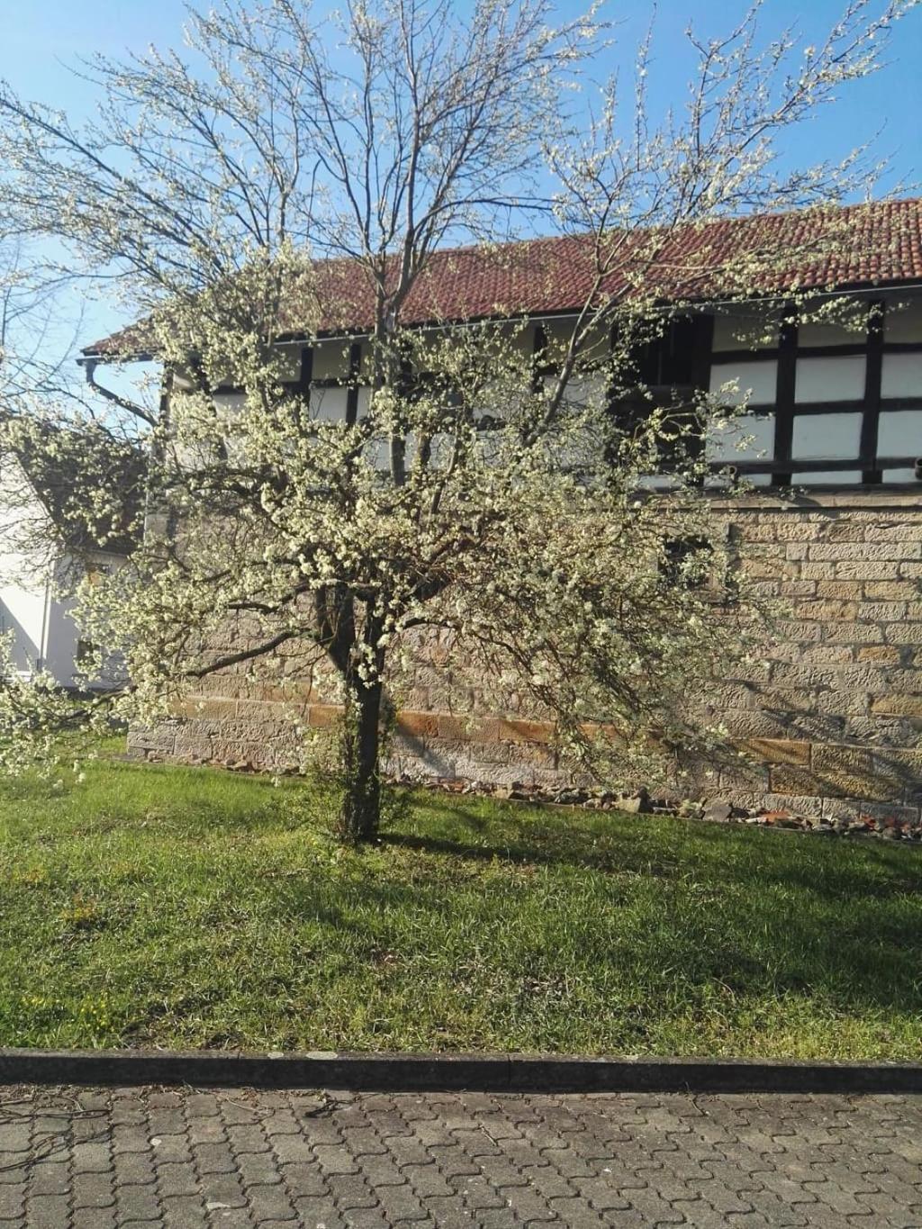 Gaestehaus Zum Gesundheitszentrum Matz Sulzdorf an der Lederhecke Exteriör bild